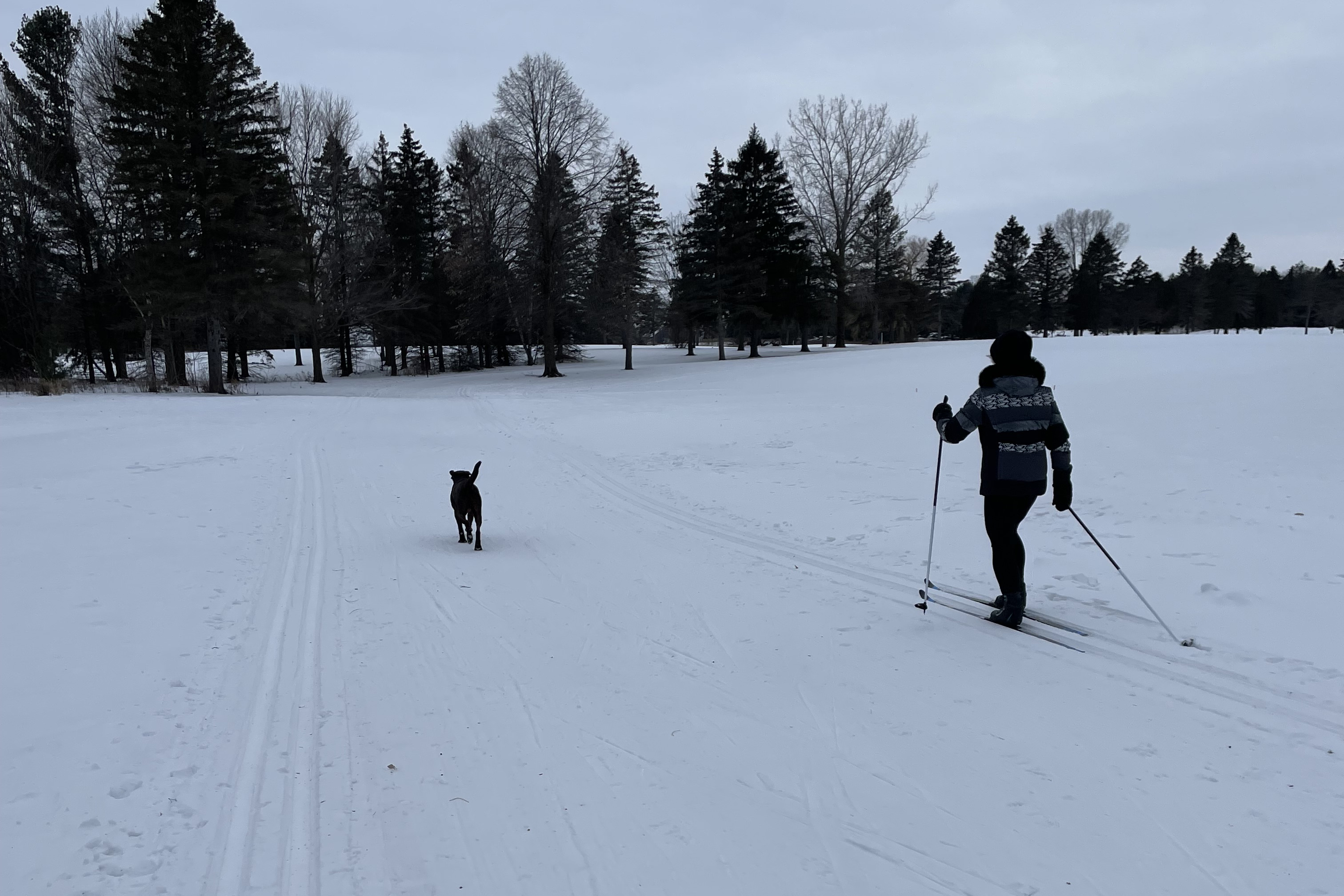 Classic &amp; Skate style ski trails are regularly groomed. Dogs are welcome.