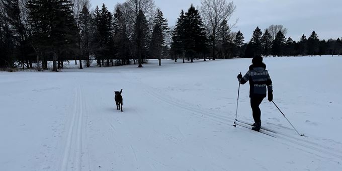 Classic &amp; Skate style ski trails are regularly groomed. Dogs are welcome.