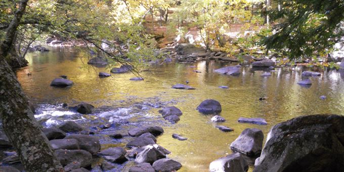 Enjoy 45 scenic campsites - many along the picturesque Embarrass River!