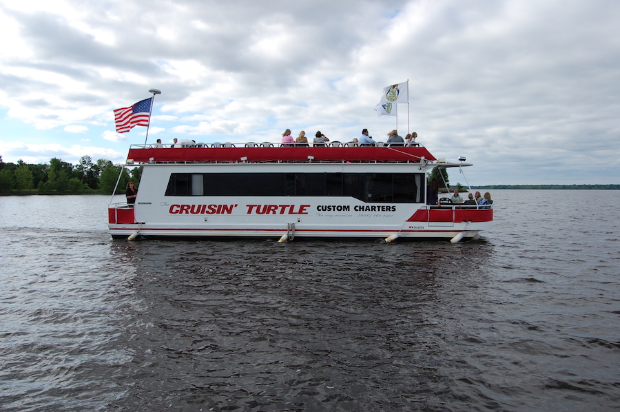 The Cruisin' Turtle