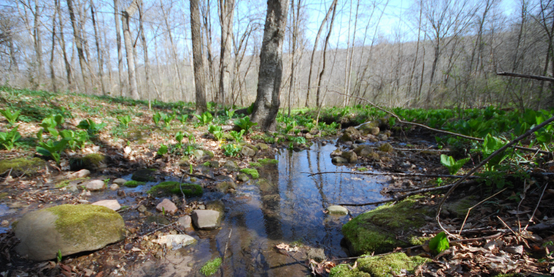 Photo Courtesy of Joshua Mayer