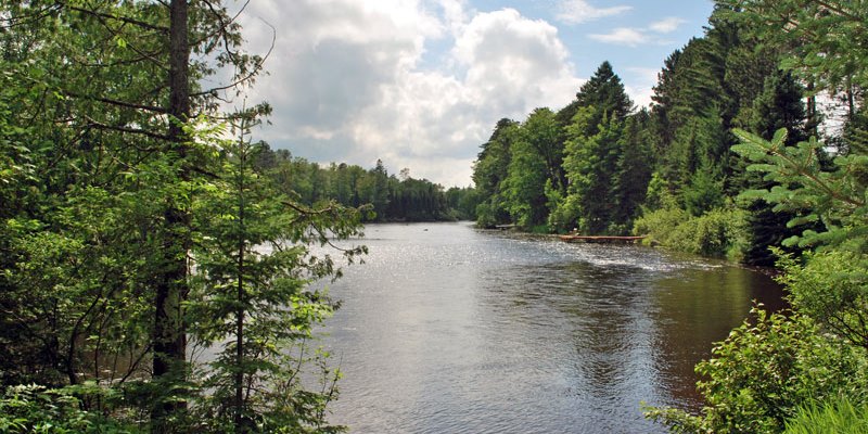 Bear Paw Vacation Homes