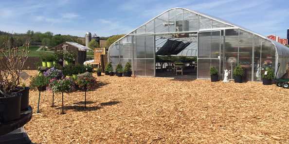 Our greenhouse is just one exciting view to see at our location. We have displays set up outside, along with a potting station, hanging baskets, shrubs, trees, and many perennials.