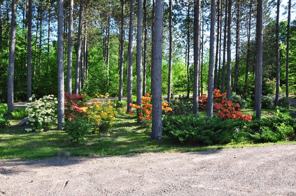 Winter Greenhouse Travel Wisconsin