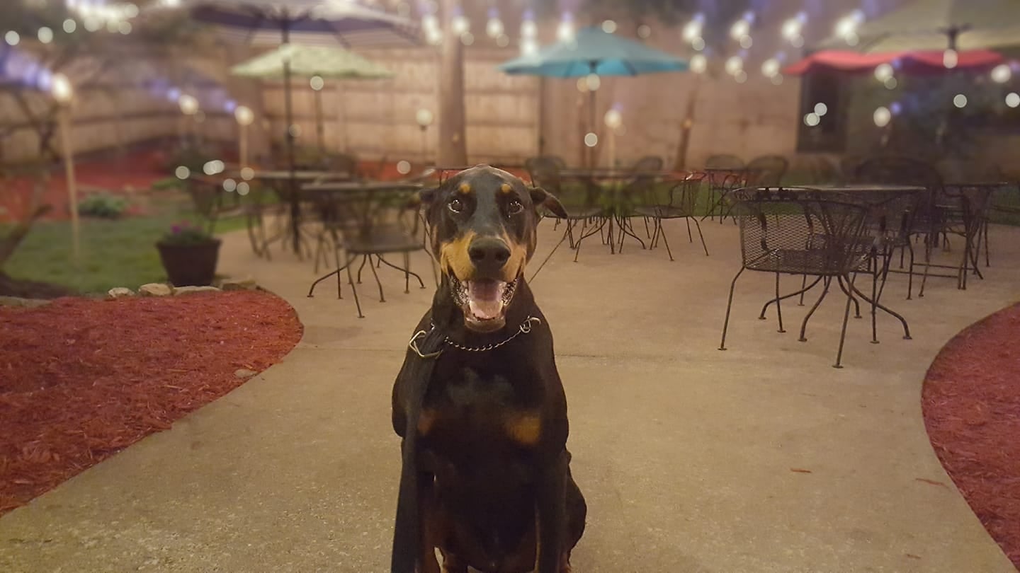 Dog friendly Patio - voted one of the best patios in the Twin City area!