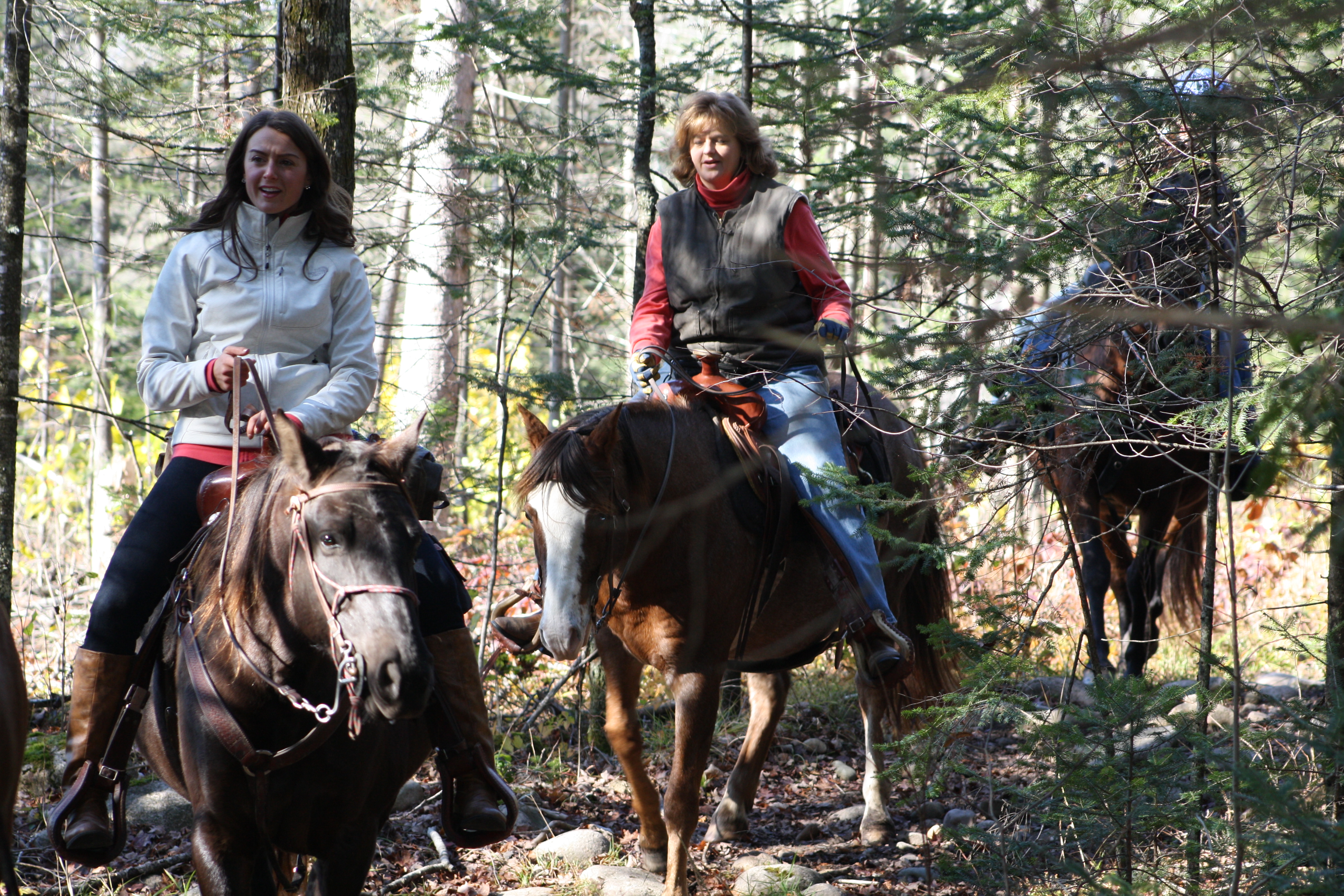 Enjoying the Crocker Hill Horse Trail that winds through the Langlade County forest.