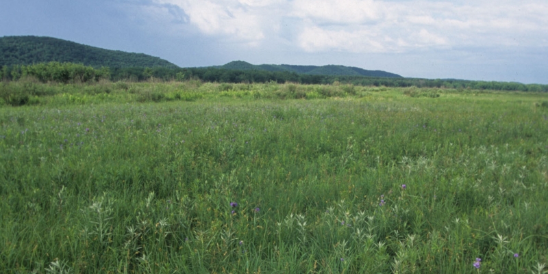 Photo by Thomas Meyer, DNR