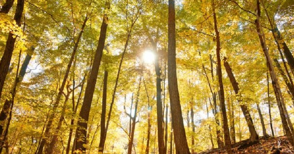 Kettle Moraine State Forest - Southern | Travel Wisconsin