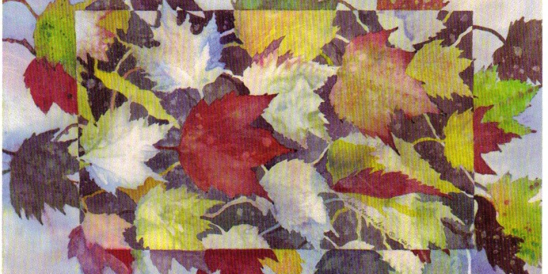 September by Sara Muender