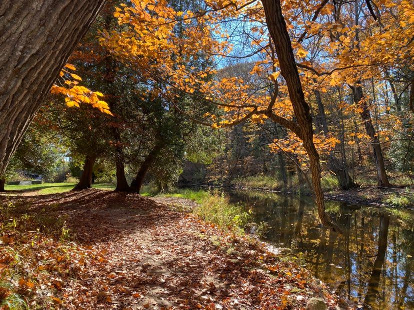 Silver Creek in the Fall in Manitowoc