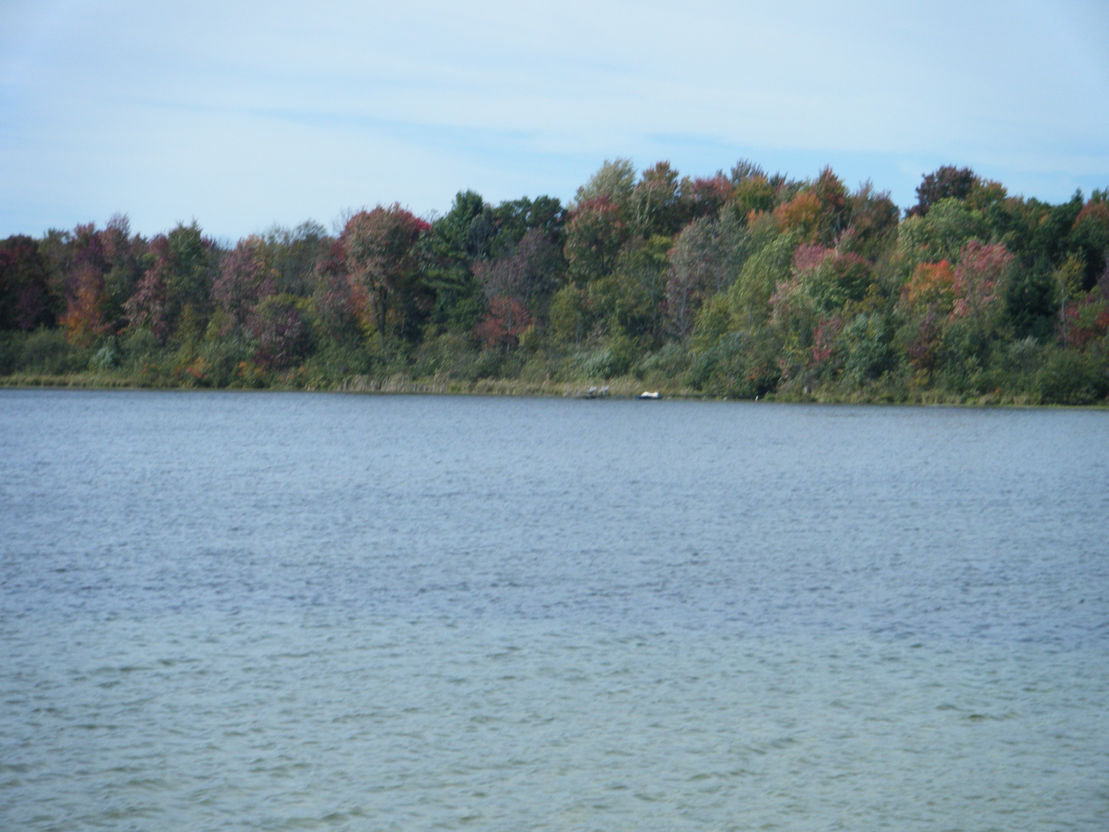 Curtis Lake