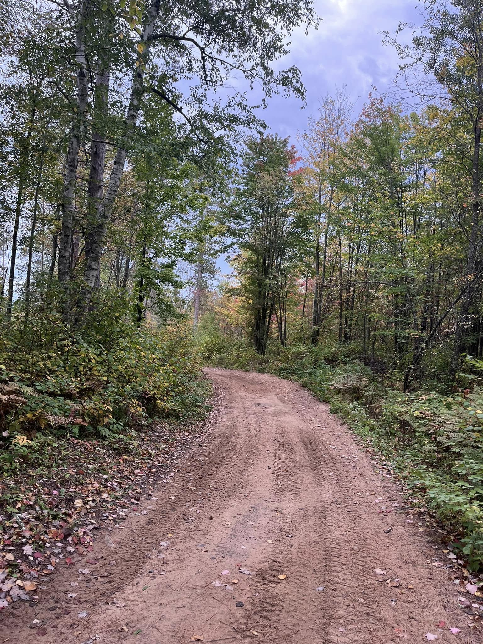 The Pickerel/Pearson ATV Trail winds through vibrant fall foliage in northern Langlade County, offering riders a stunning autumn adventure through colorful forests and scenic landscapes.