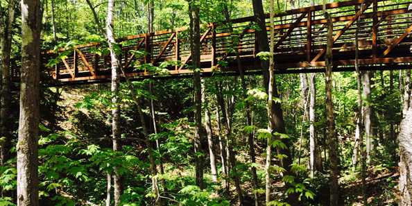 A 130&#39; trellis bridge welcomes visitors to the park and connects the Frog Bay trail system.