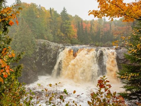 Natural Wonders - Fall 2020