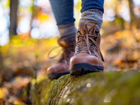 Know Before You Go: Fall Color