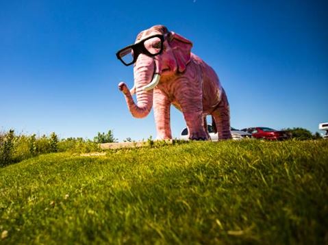 Photo Ops and Quirky Stops (OS - Summer 19)