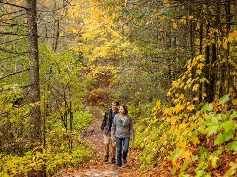 Fall Color in State Parks