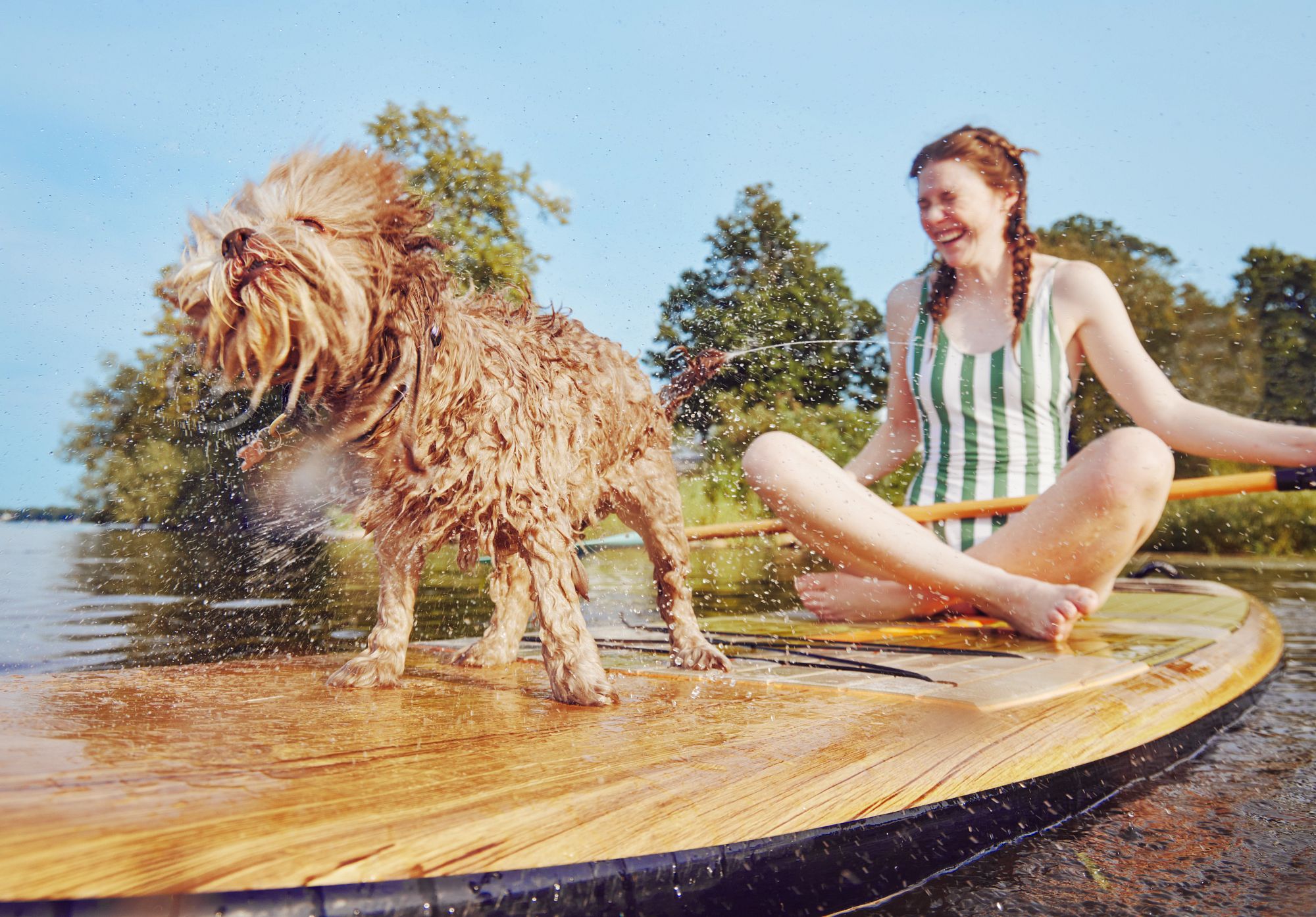 The Ultimate Guide on Pet-Friendly Lodging